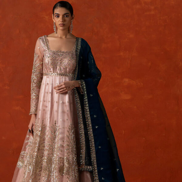 Peach and Blue Embroidered Anarkali